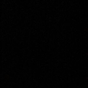 Meet your Posher, Will